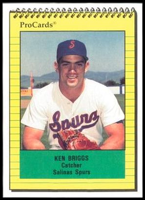 2246 Ken Briggs